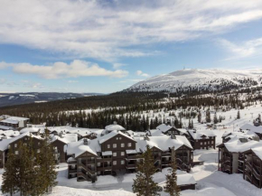 Høyfjellsgrend 962